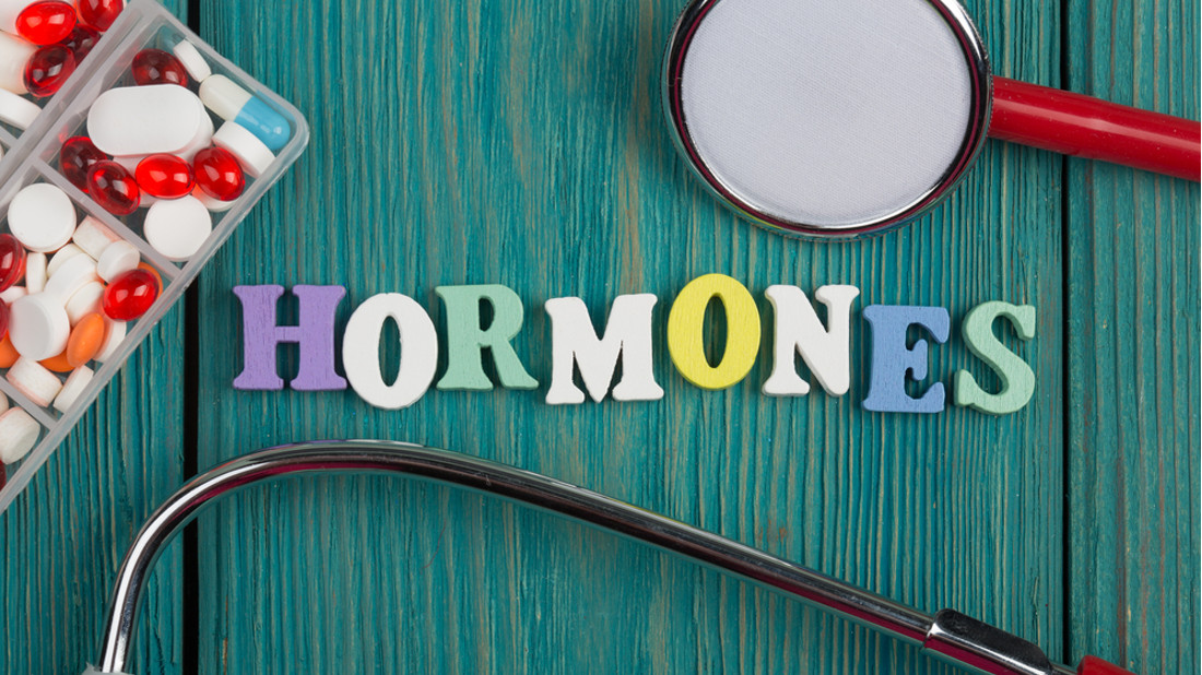 hormony 1
