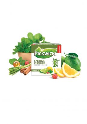 pickwick-energie1-729x410.jpg