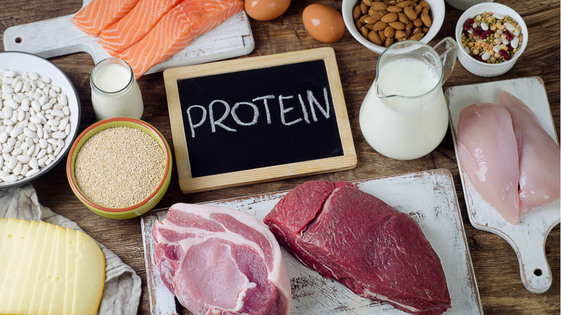 proteinova dieta