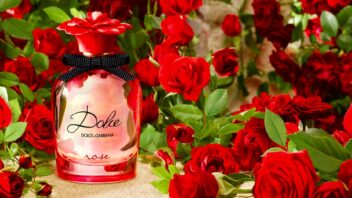 dolce-gabbana-dolce-rose-50ml-creative_2_preview-352x198.jpg