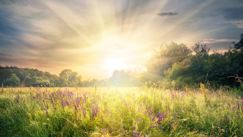 Istock
